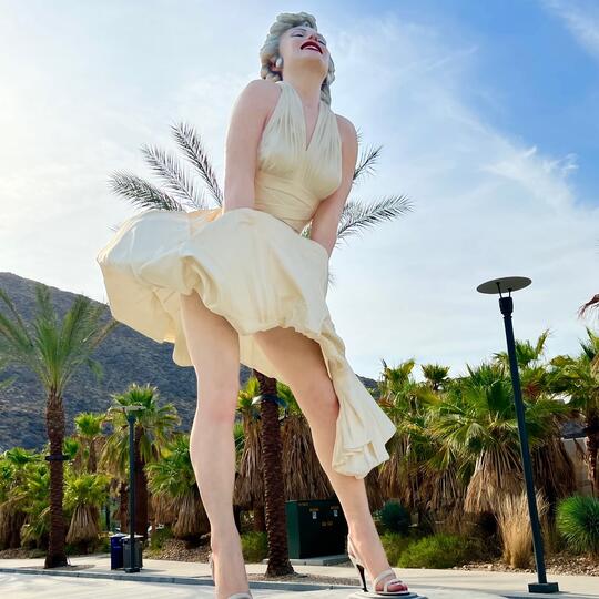 The Forever Marilyn a giant statue of Marilyn Monroe designed by Seward  Johnson in front of the Palm Springs Art Museum. - Palm Springs,  California, U Stock Photo - Alamy