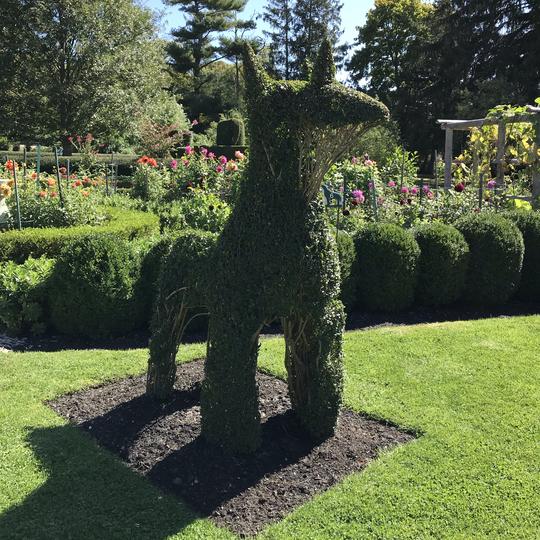 Green Animals Topiary Garden in Portsmouth, RI