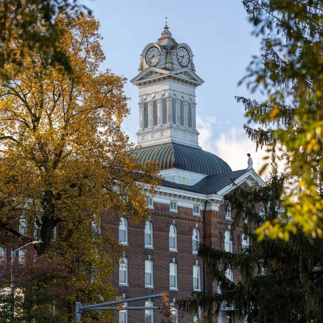 Angry Chicken Clock Tower