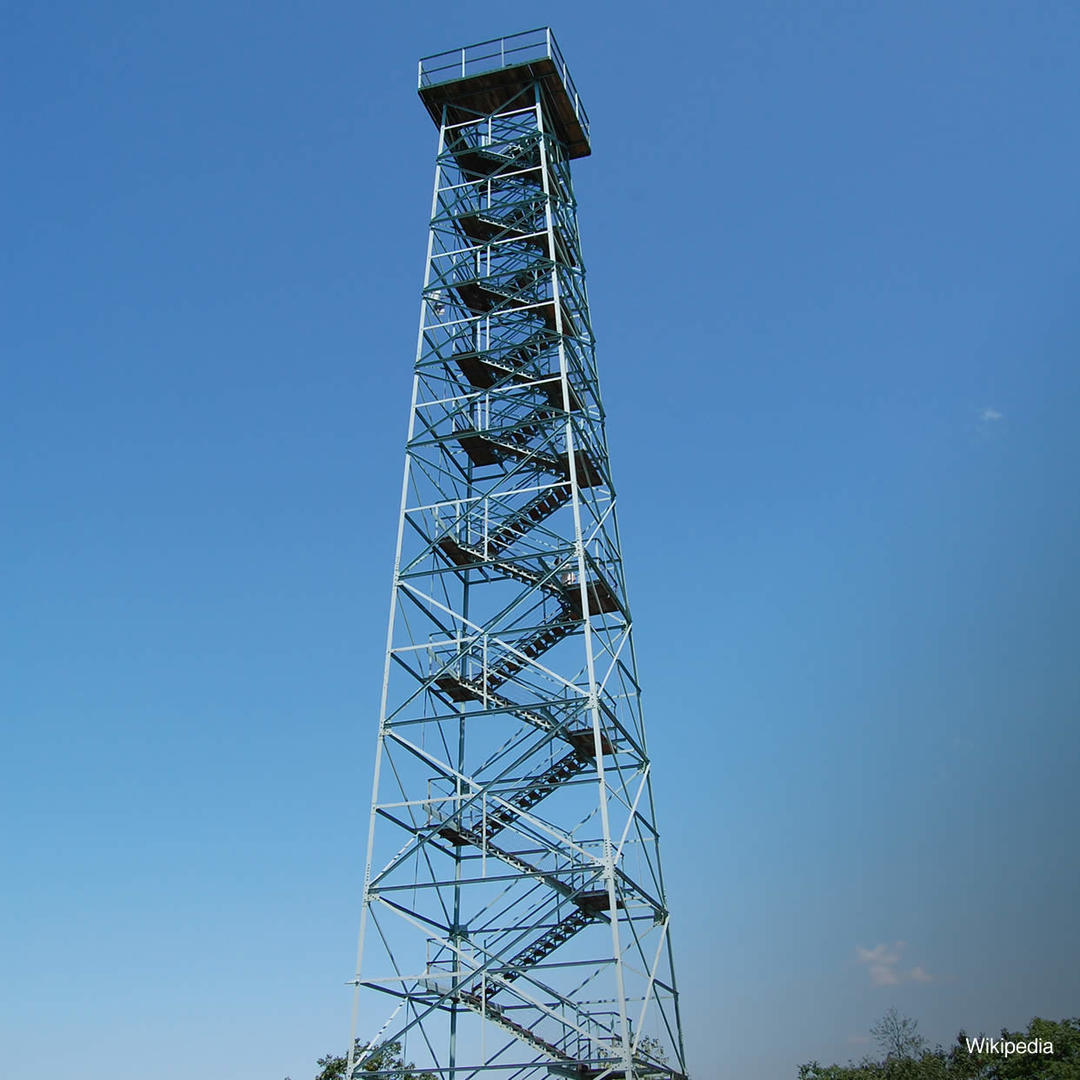 Large