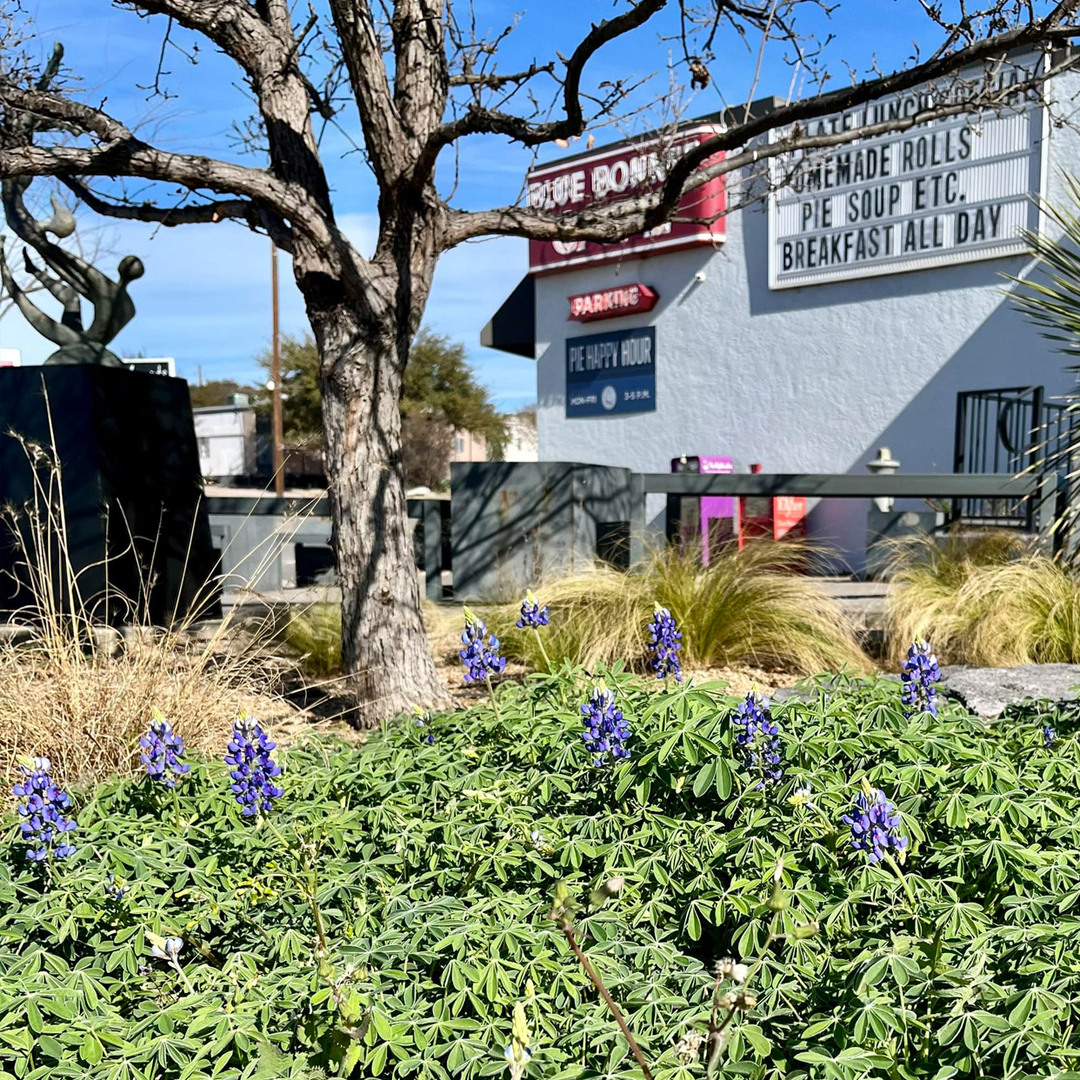 Blue Bonnet Cafe