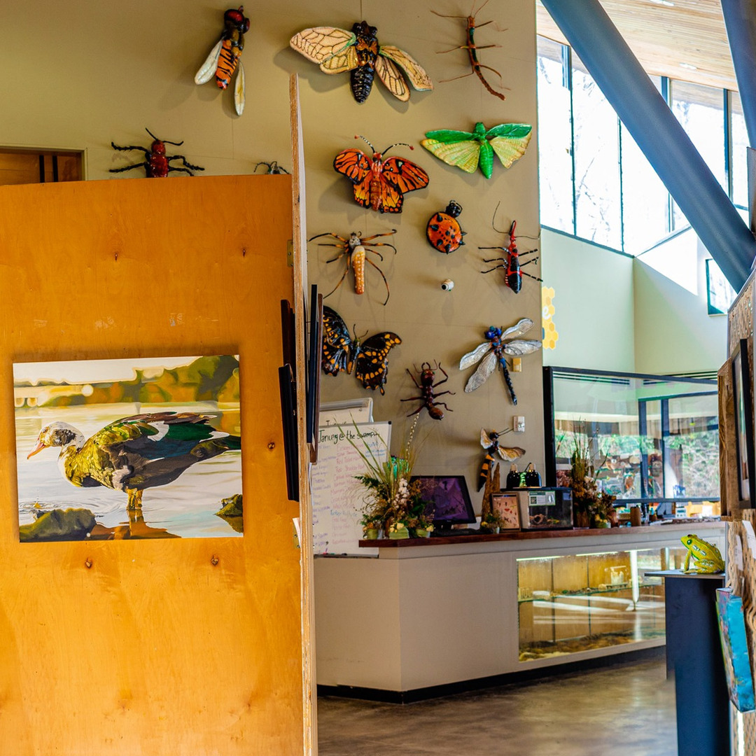Bluebonnet Swamp Nature Center