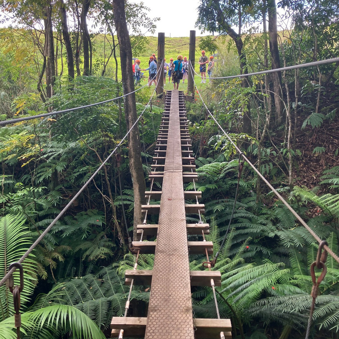 Botanical World Adventures