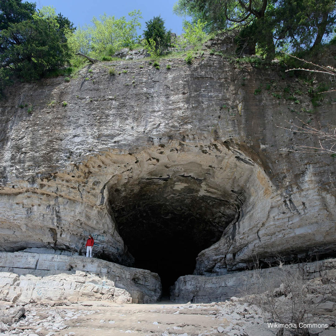 Large