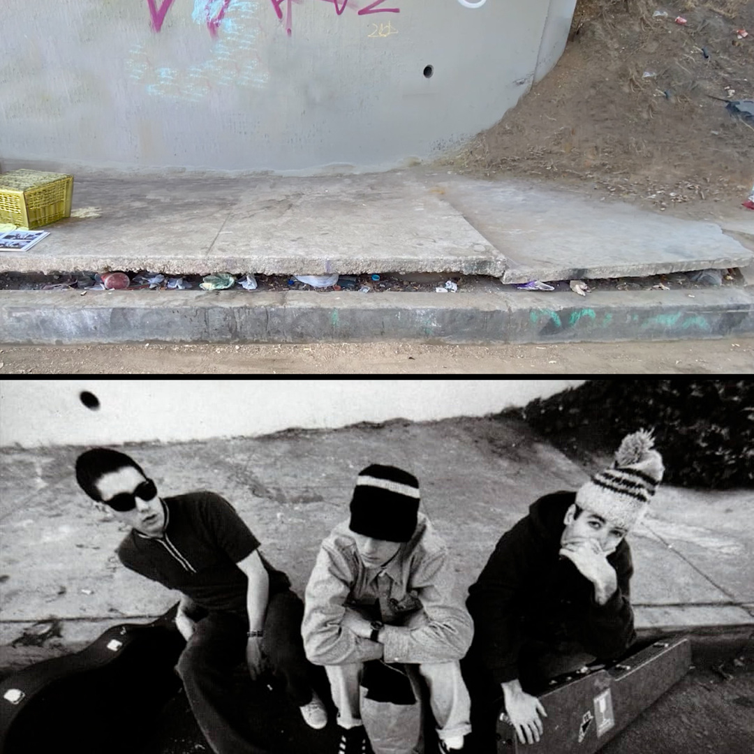 Check Your Head Album Cover Location