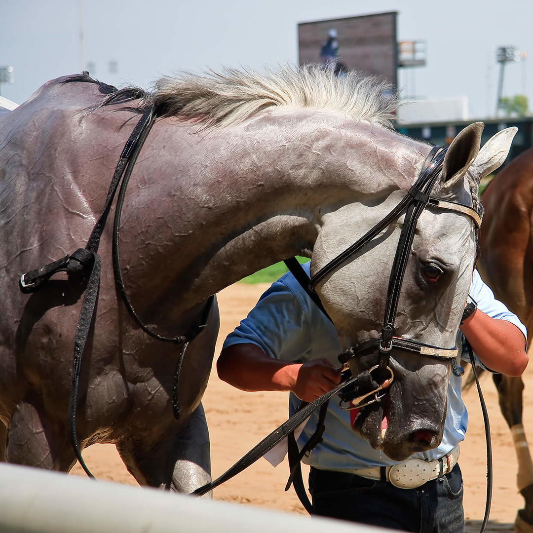 Churchill Downs