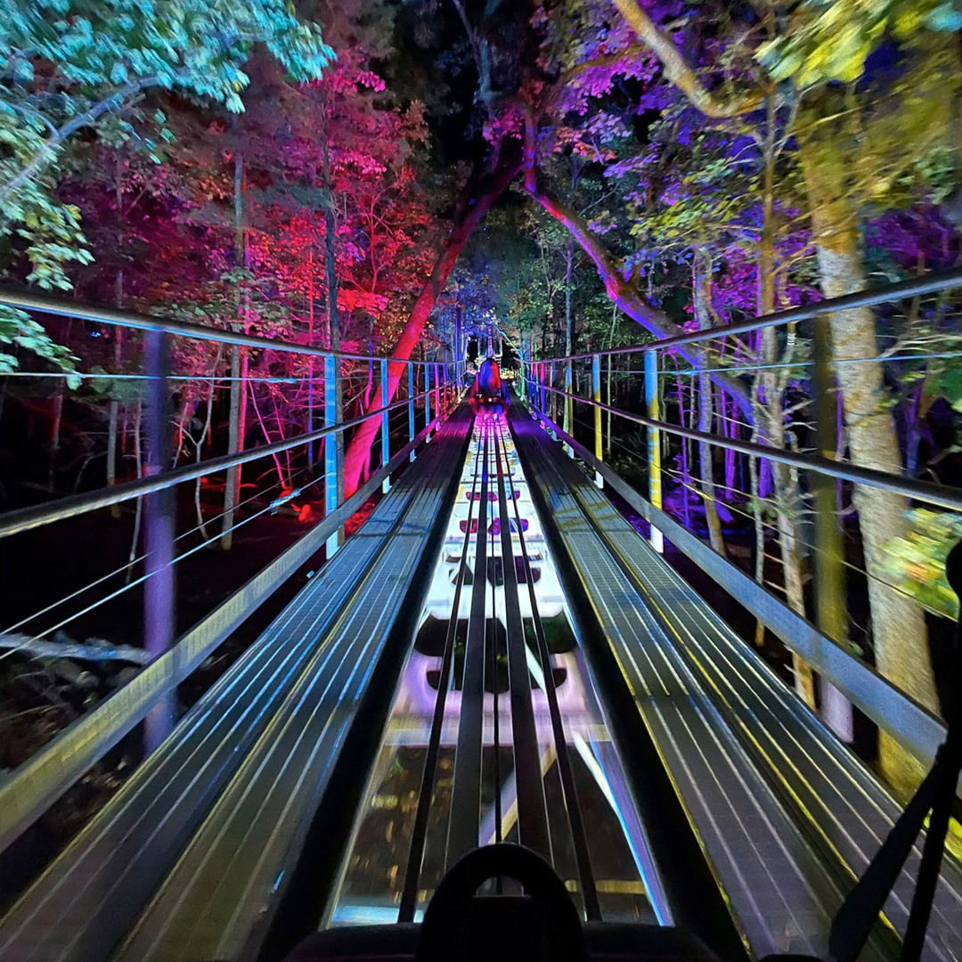 Copperhead Mountain Coaster