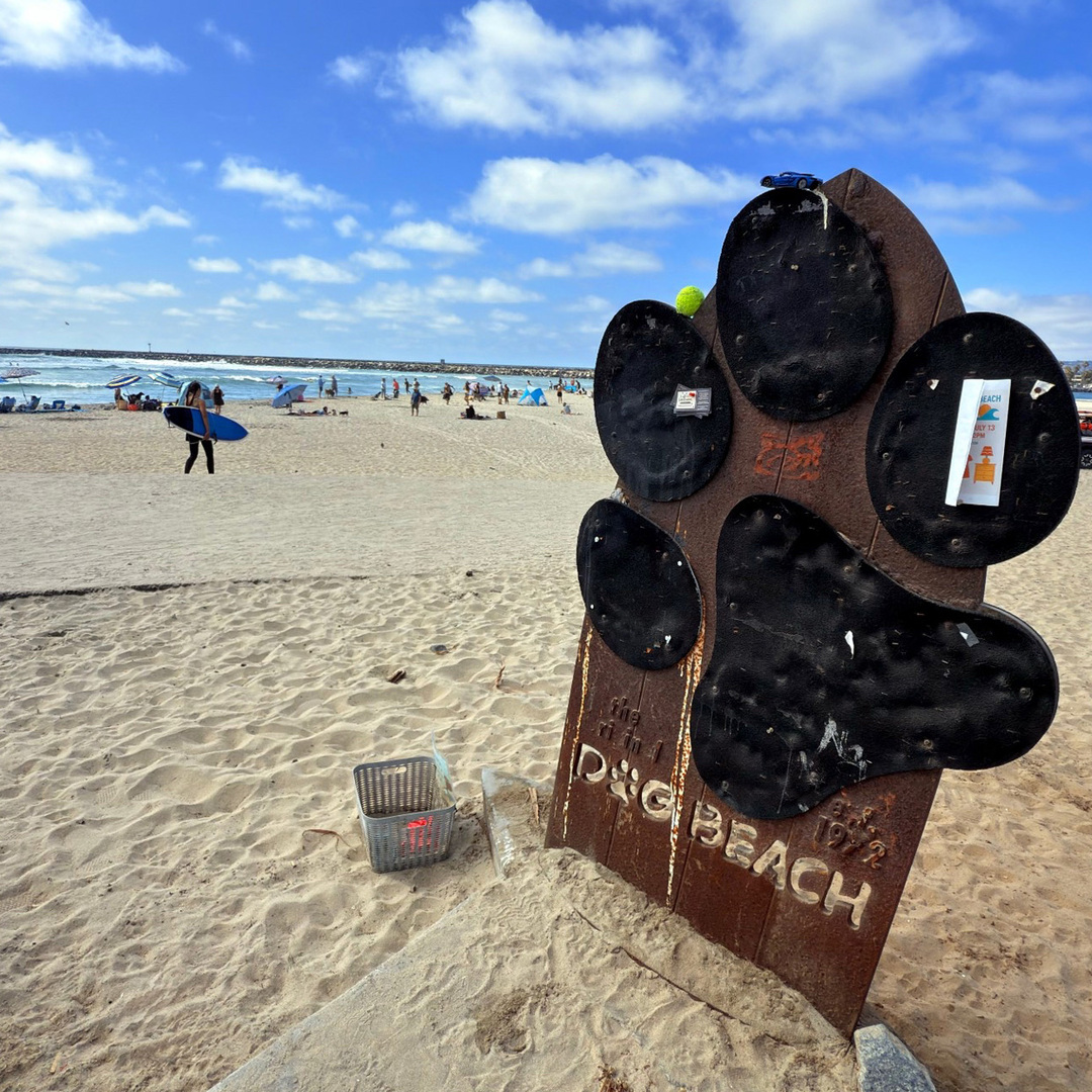 Dog Beach
