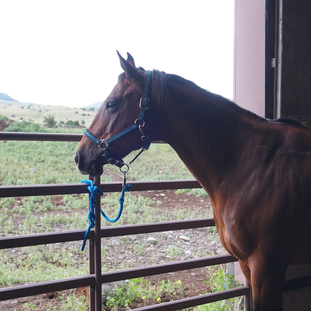 Erik’s Ranch at Trail Creek