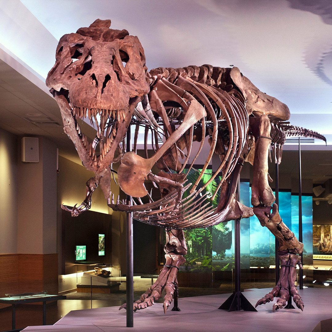Field Museum