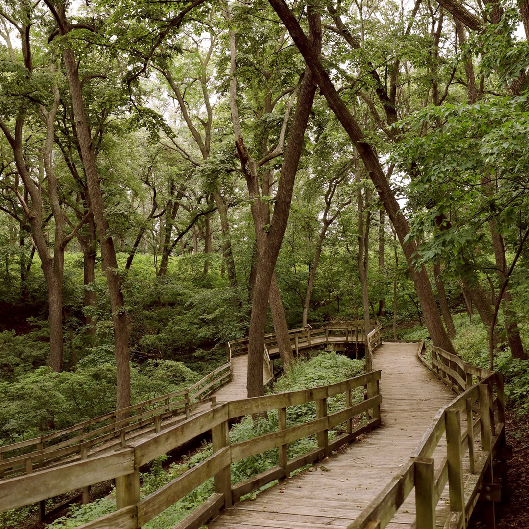 Fontenelle Forest