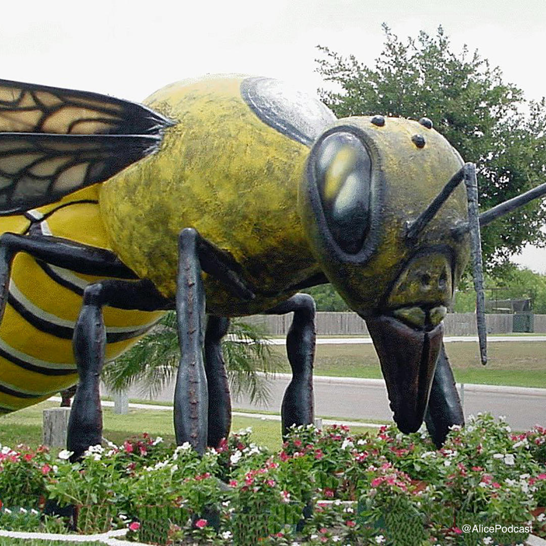 Large
