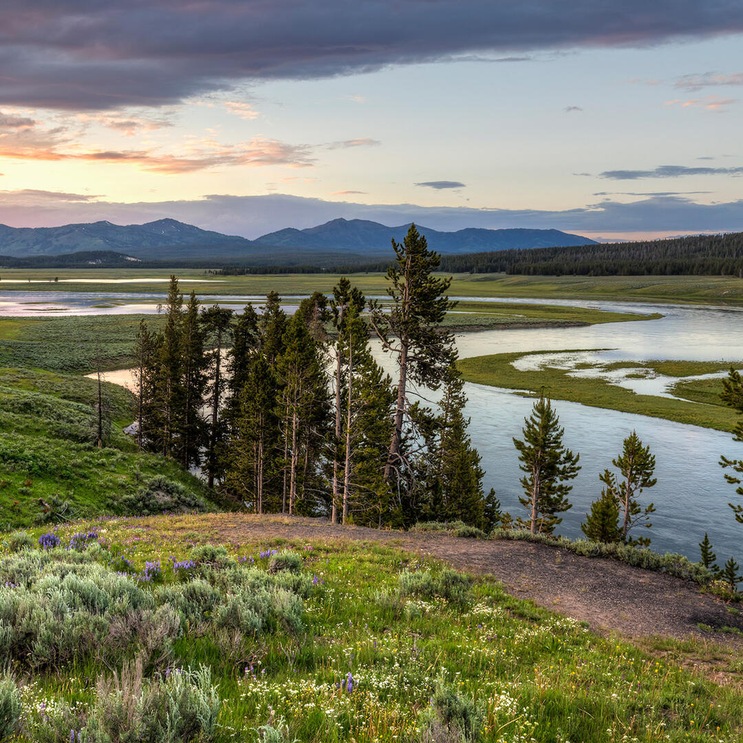 Hayden Valley Overlook In Yellowstone National Park WY With Photos Hayden Valley Overlook In Yellowstone National Park WY With Photos