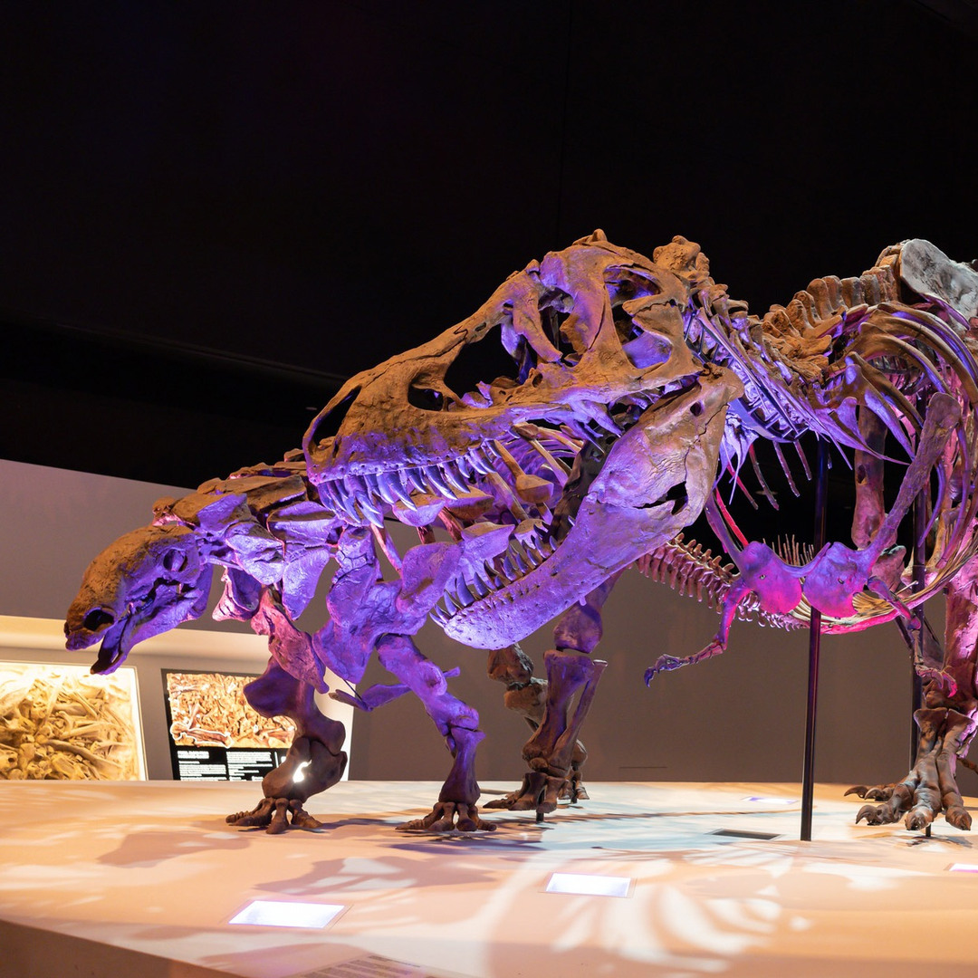 Houston Museum of Natural Science