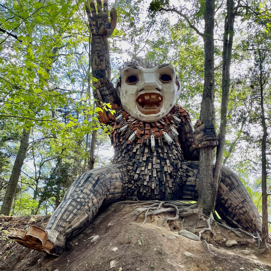 Iver Mudslider Troll