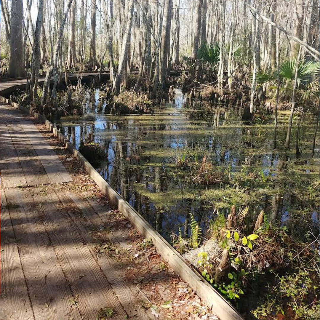 Jean Lafitte National Historical Park