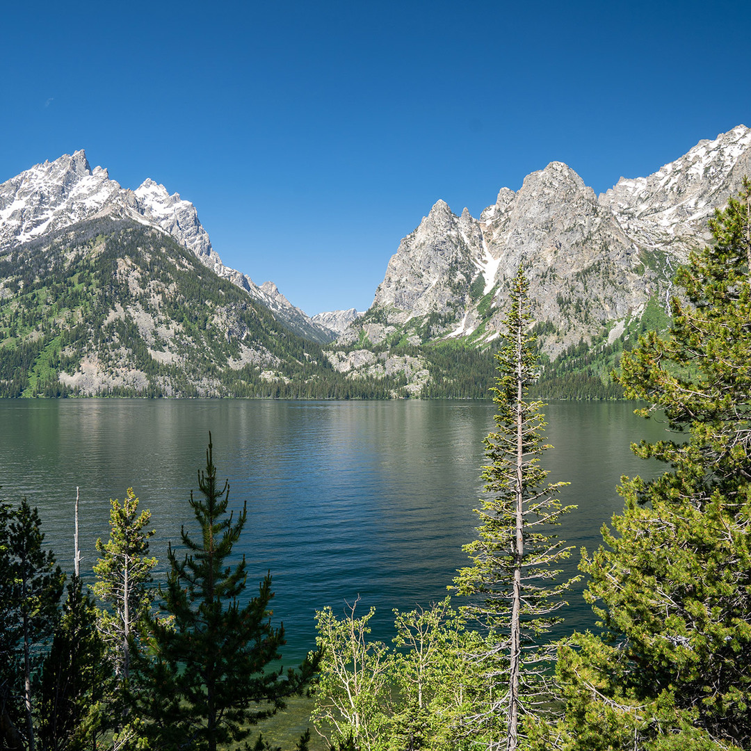 Jenny Lake Overlook In Grand Teton National Park WY 2 Photos Jenny Lake Overlook In Grand Teton National Park WY 2 Photos