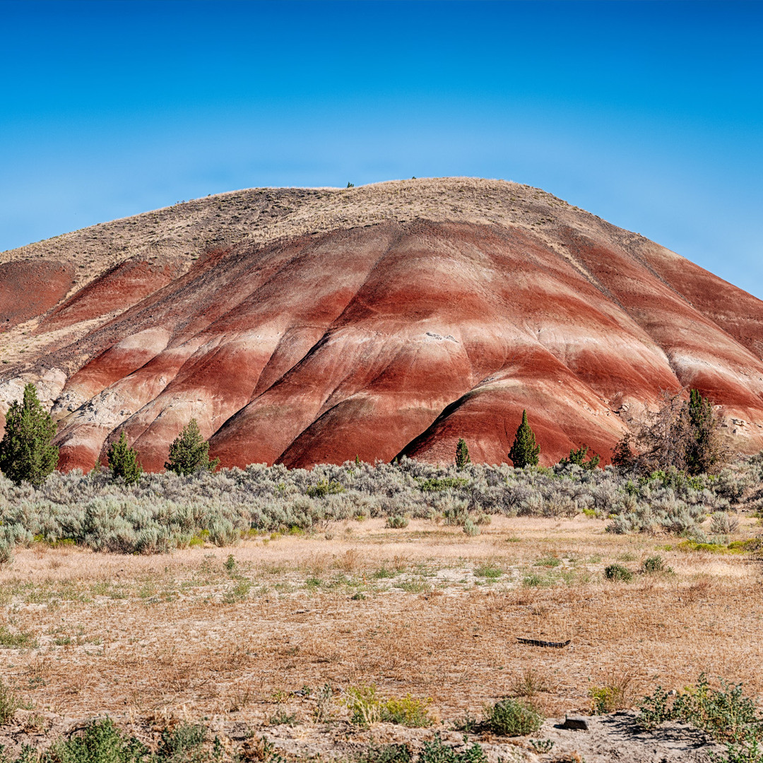 John Day Fossil Beds