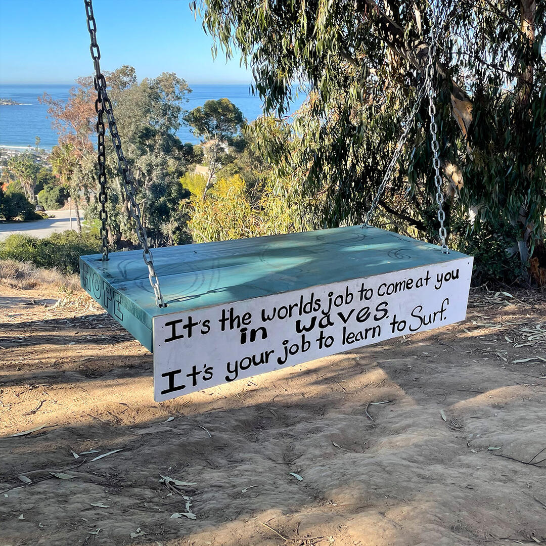 La Jolla Secret Swings