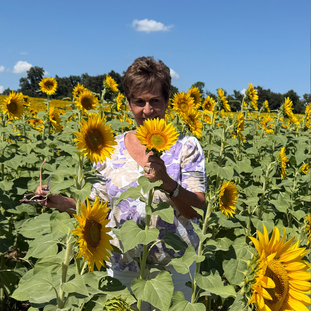 Lesher's Sunflower Field