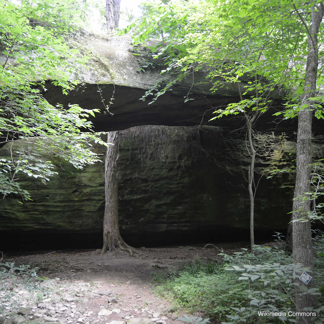 Large