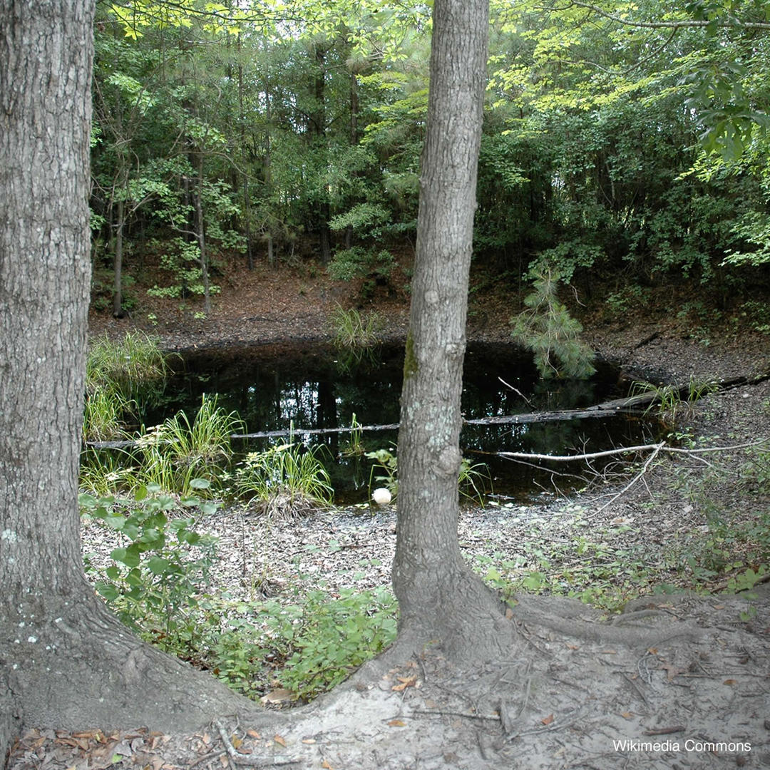Large