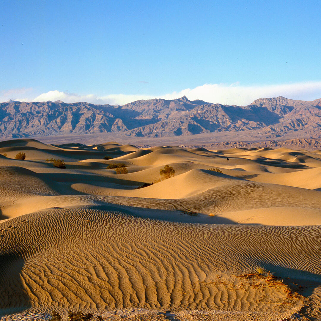 Mesquite Flat Sand Dunes In Death Valley National Park CA 11 Photos 