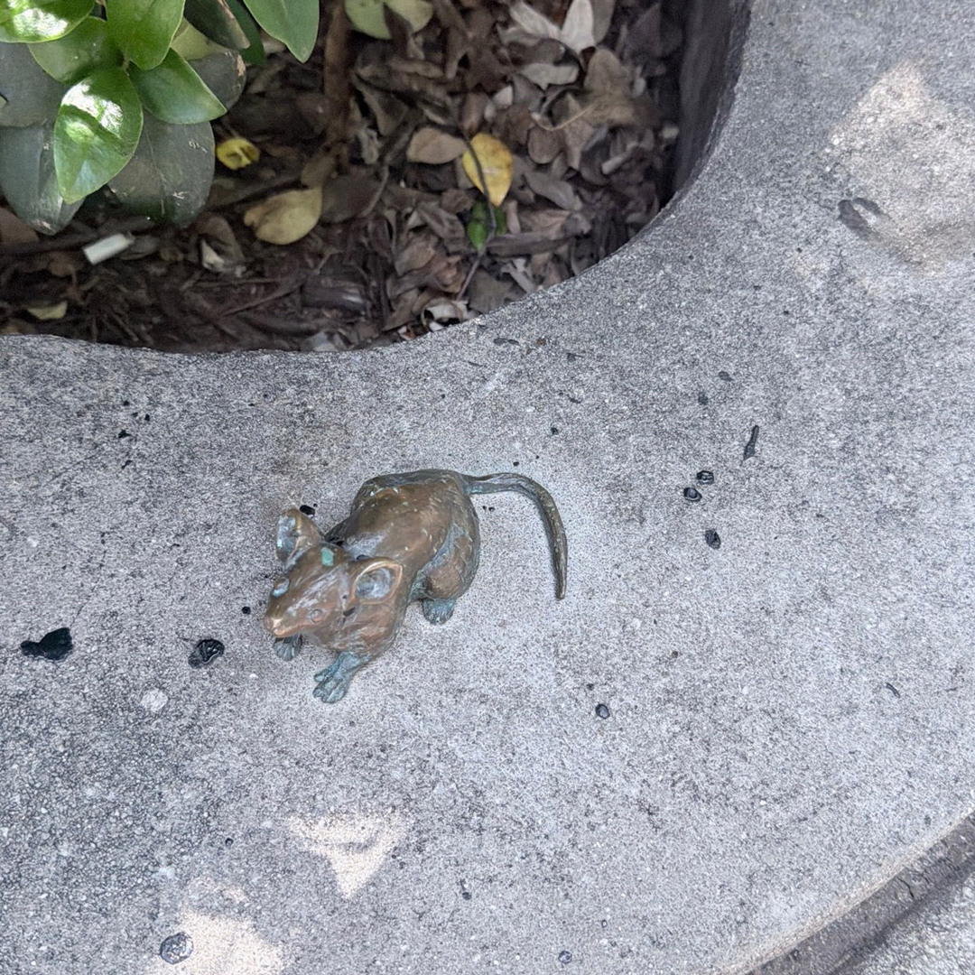 Mice on Main