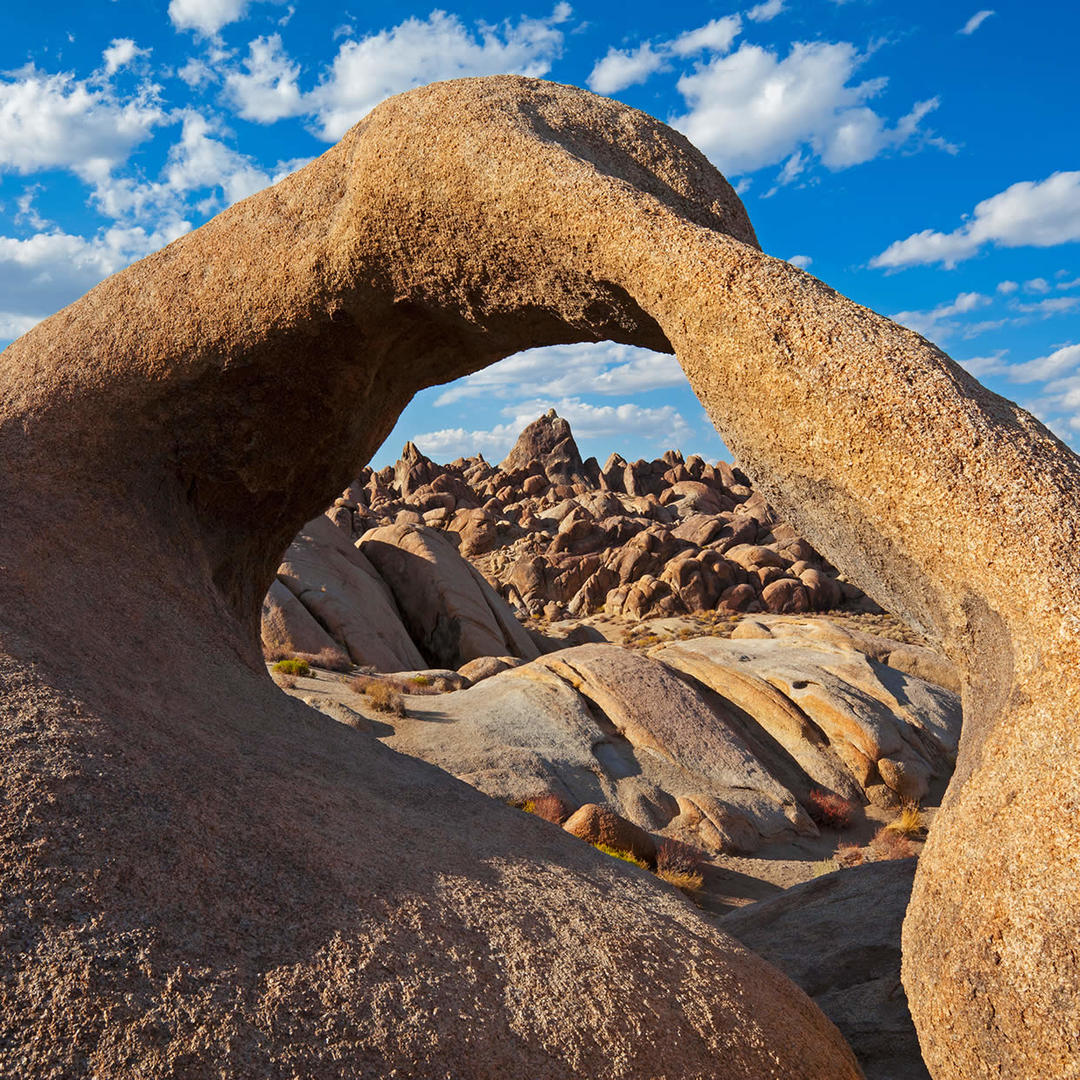 Mobius Arch