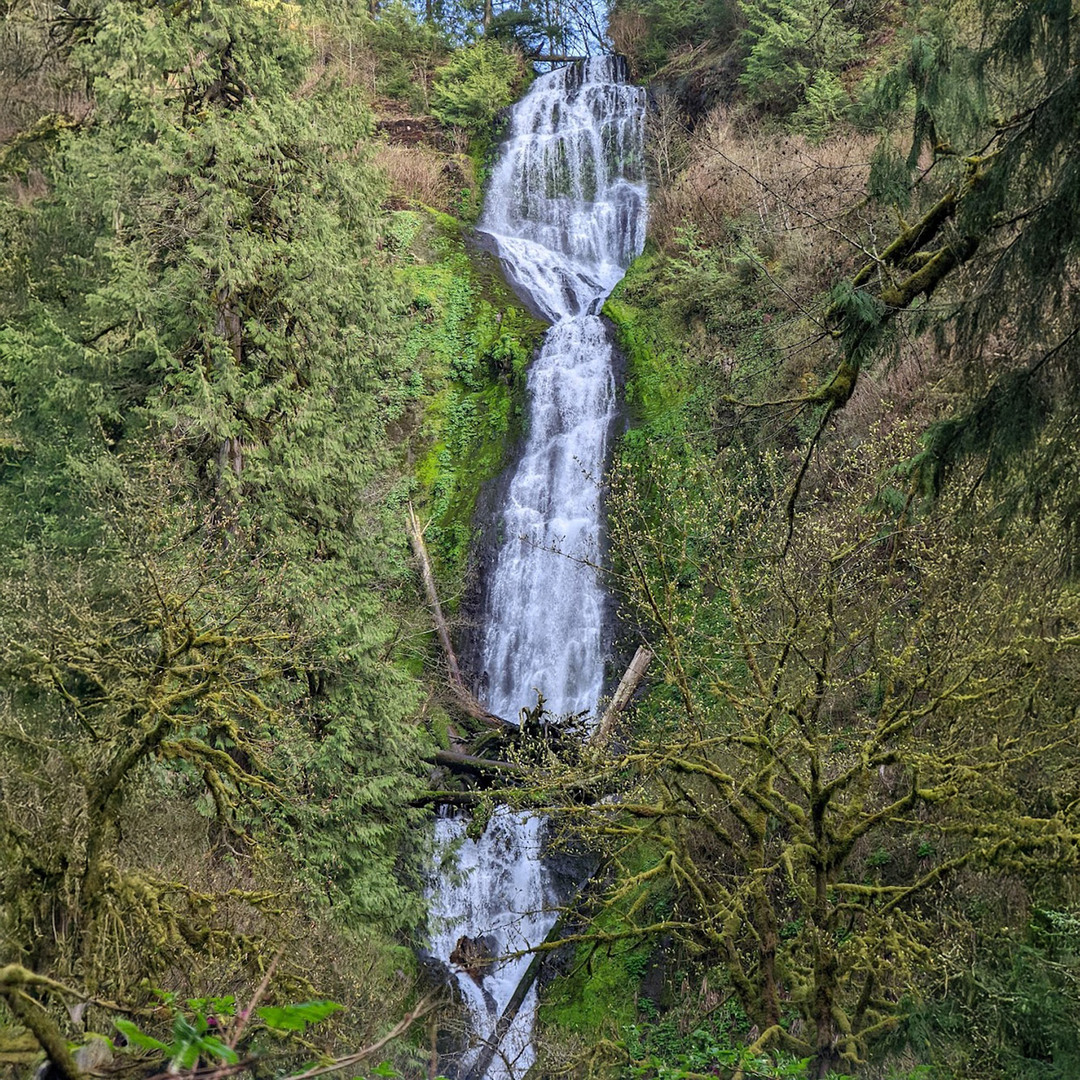 Munson Creek Falls