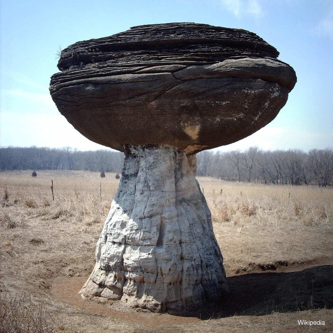 Large