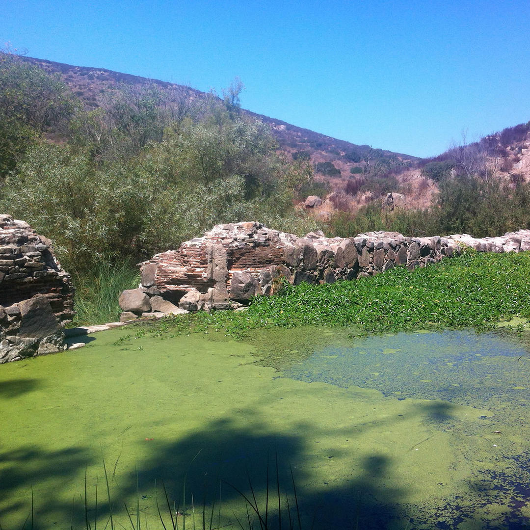 Old Mission Dam