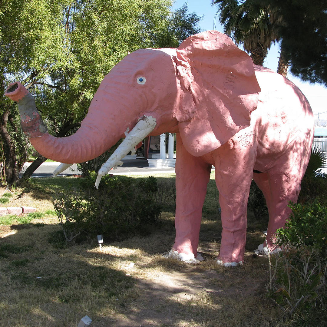 The Pink Elephant