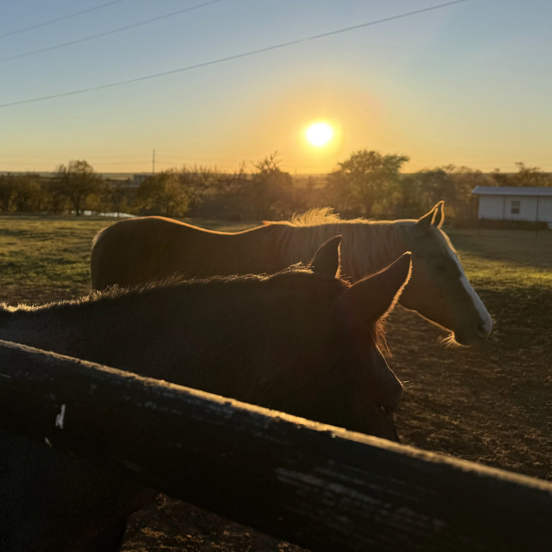 Red Hill Ranch