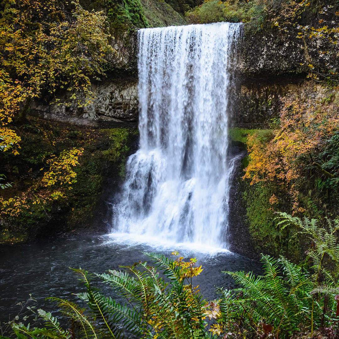 Silver Falls State Park in Sublimity, OR