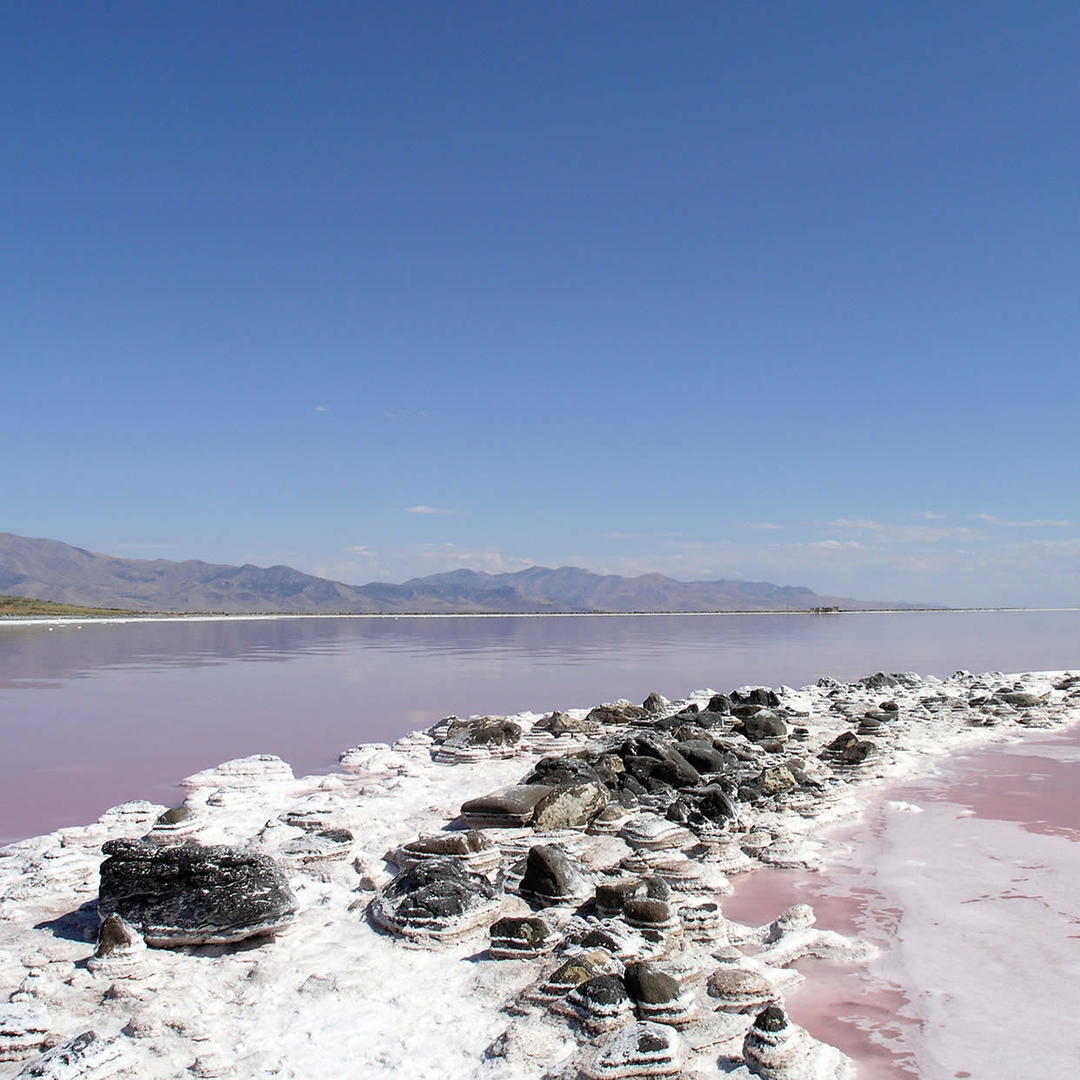 Spiral Jetty