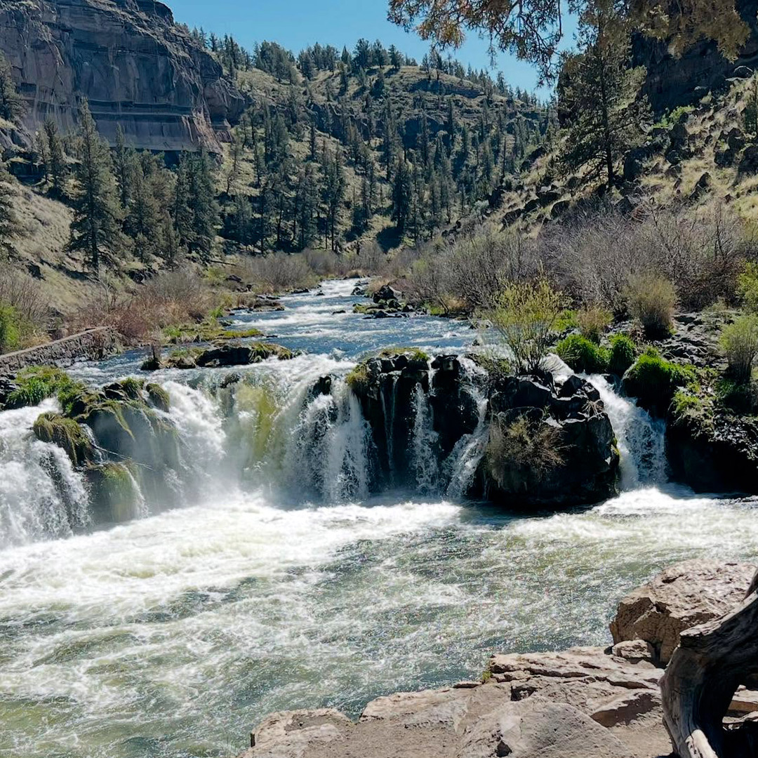 Steelhead Falls