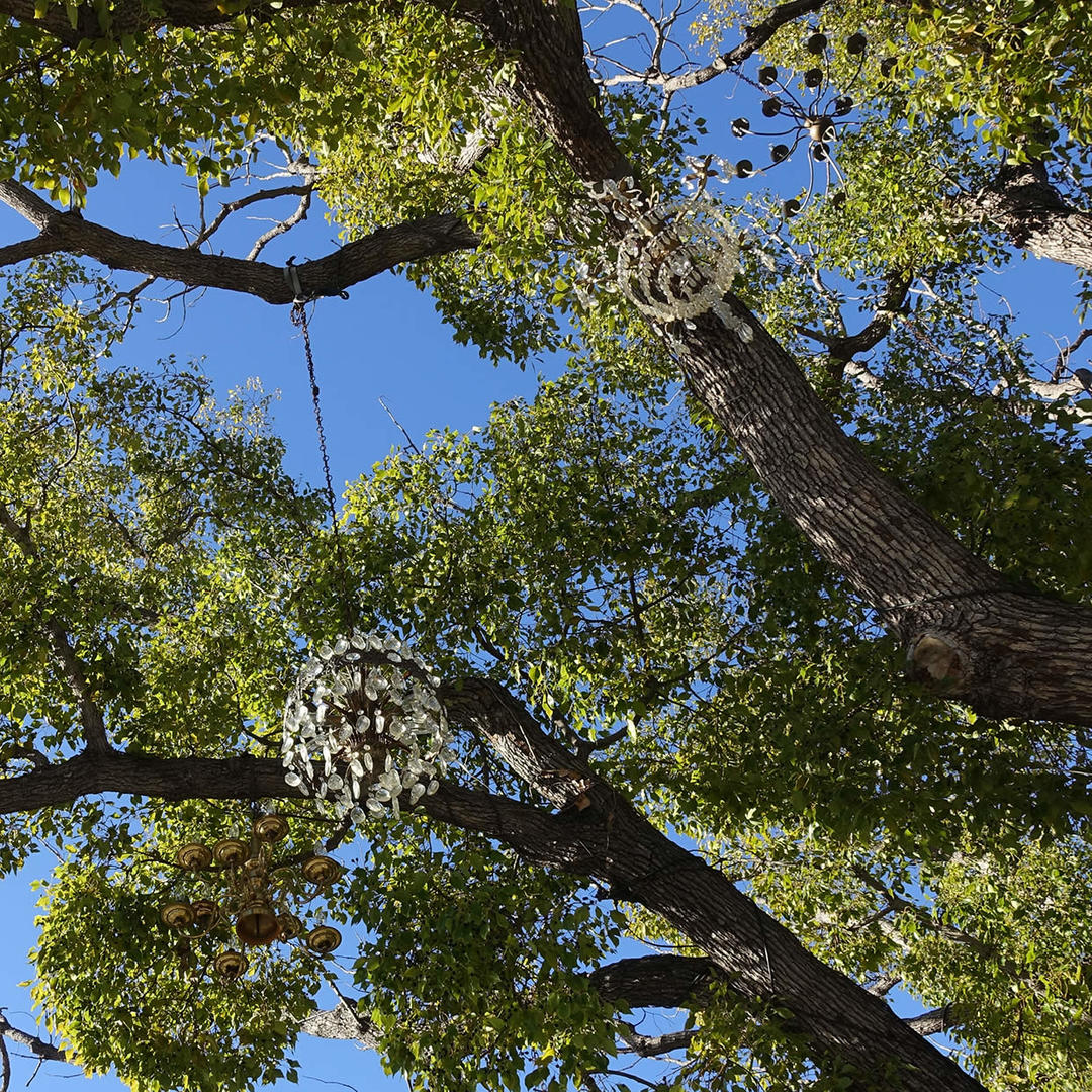 The Chandelier Tree