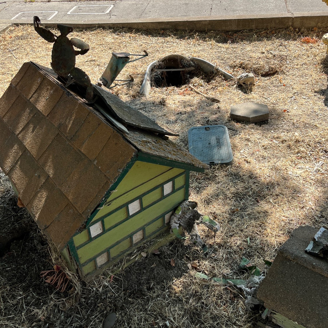 Toad Hollow
