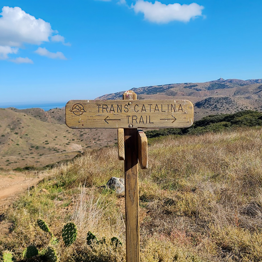 Trans Catalina Trailhead