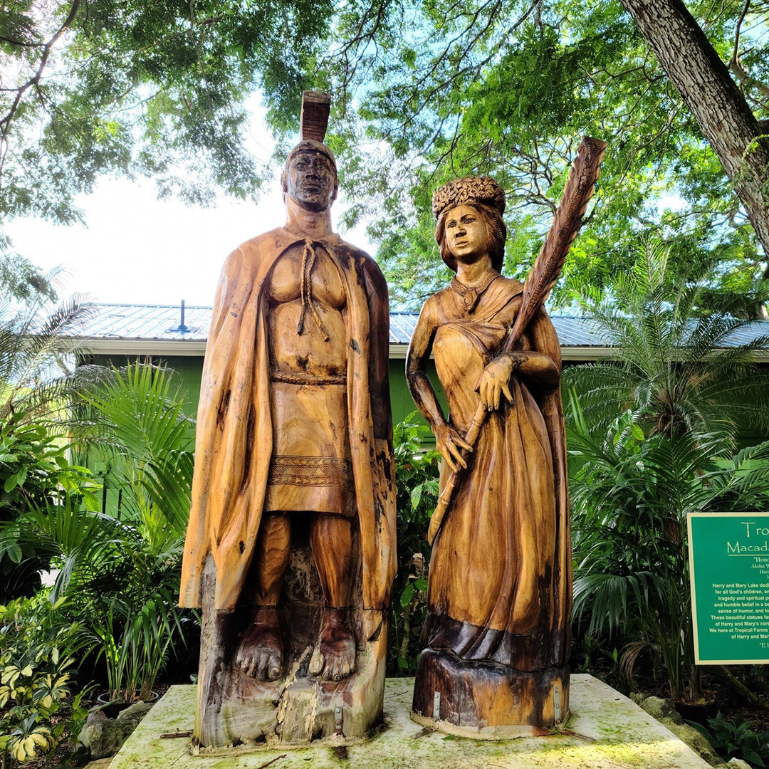 Tropical Farms Macadamia Nuts