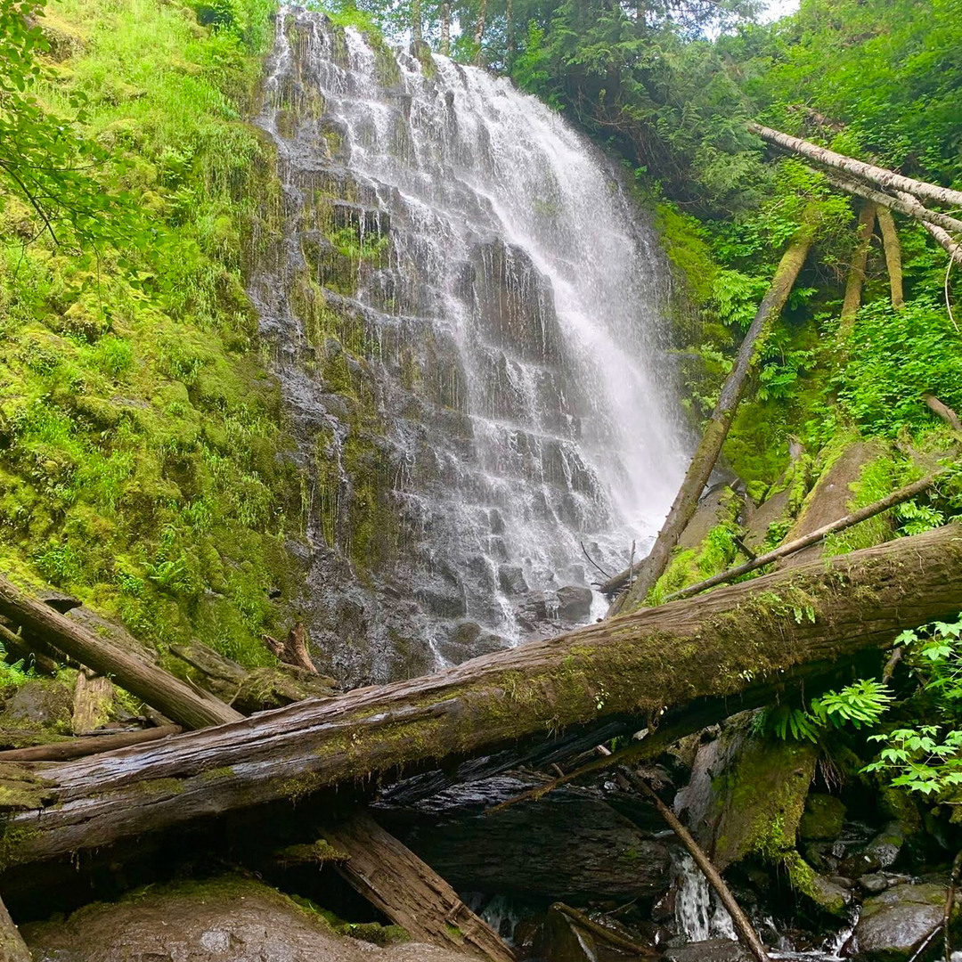 University Falls