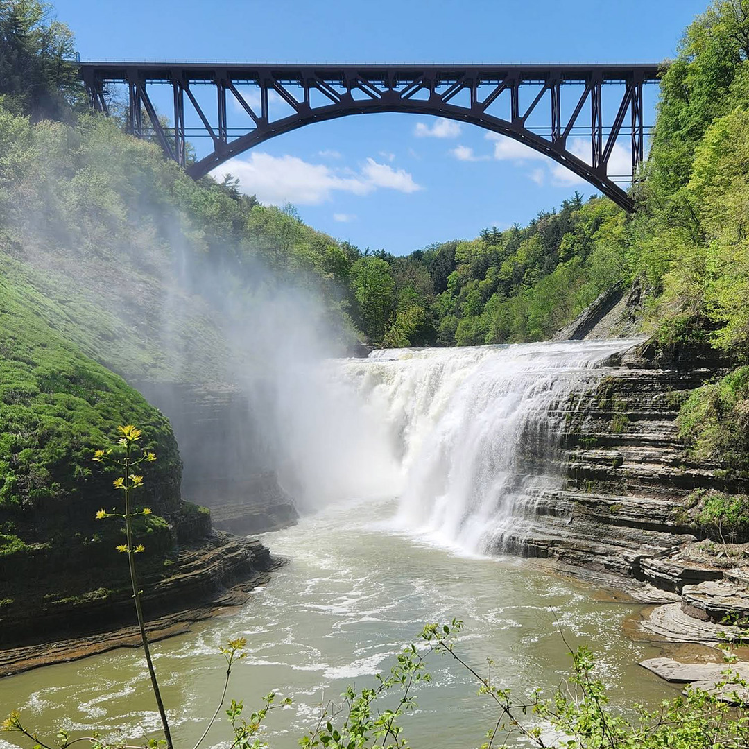 Upper Falls Scenic View