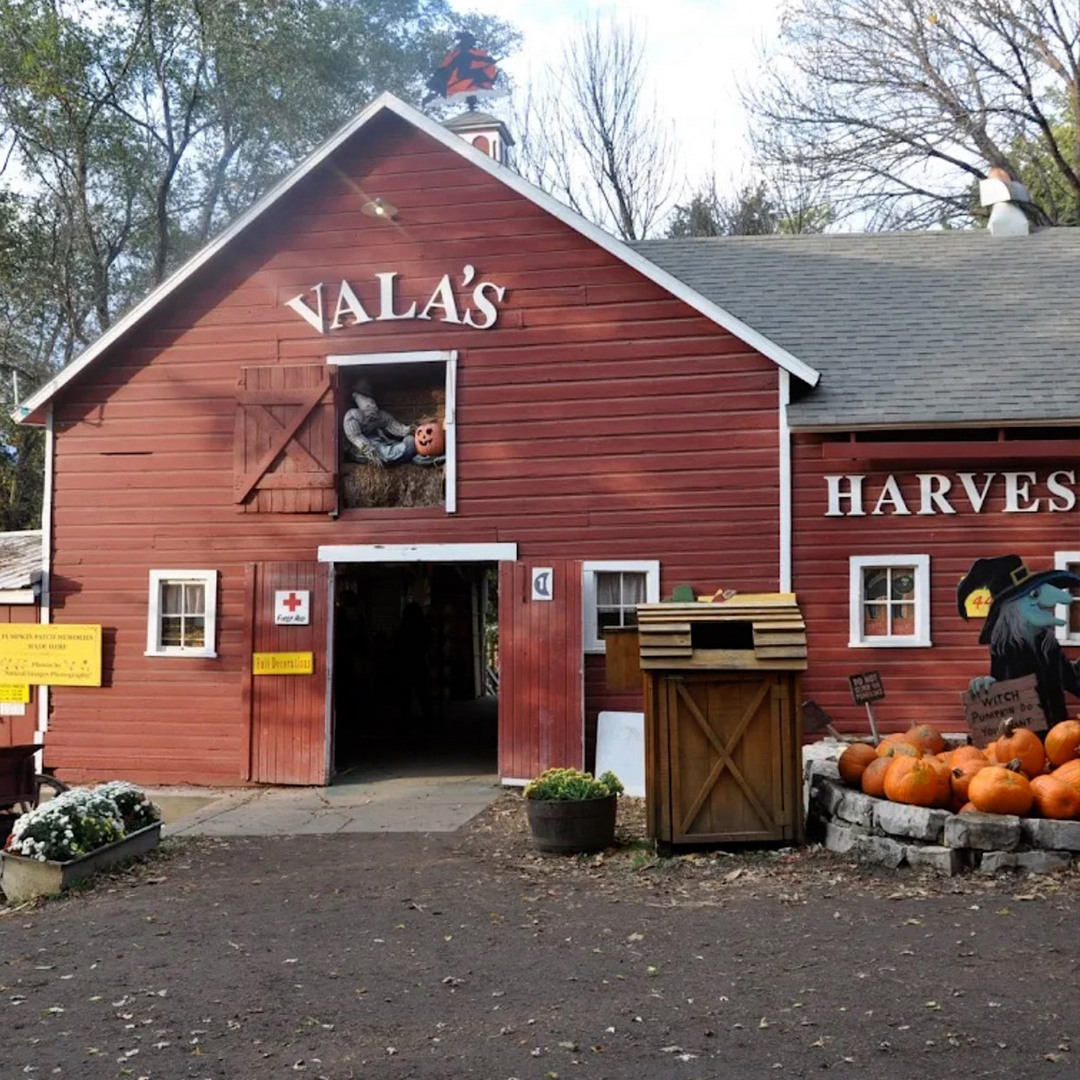 Vala's Pumpkin Patch & Apple Orchard