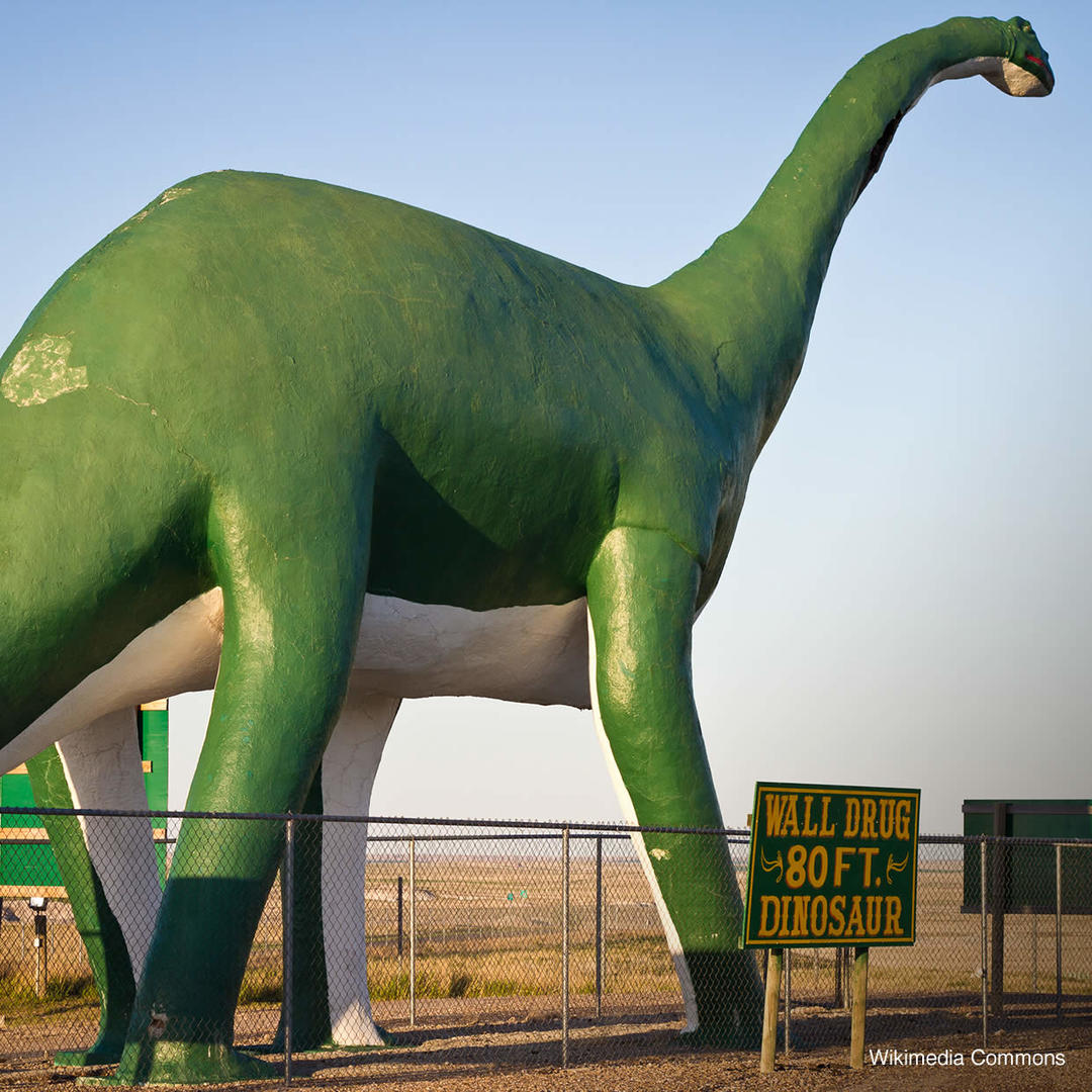 Large