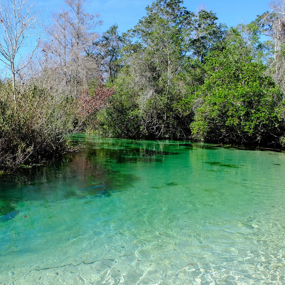 Weeki Wachee Springs in Spring Hill, FL (3 Photos)