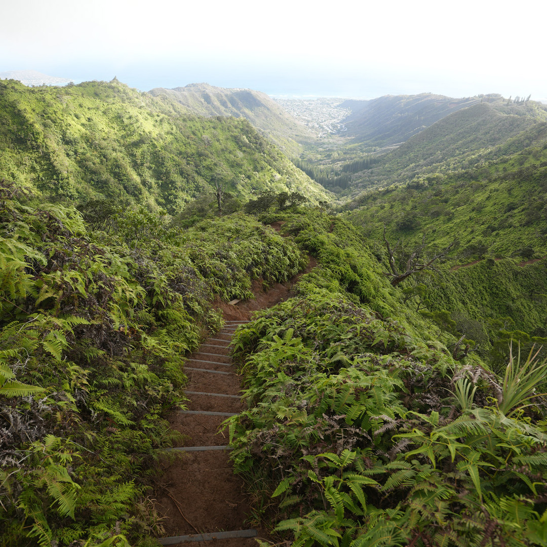 Wiliwilinui Ridge Trail