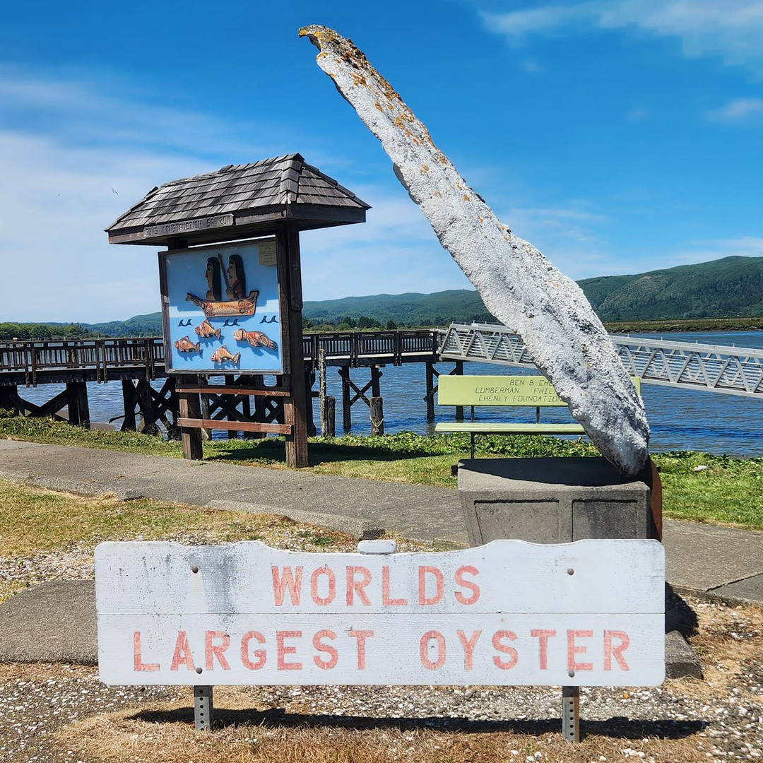 World’s Largest Oyster