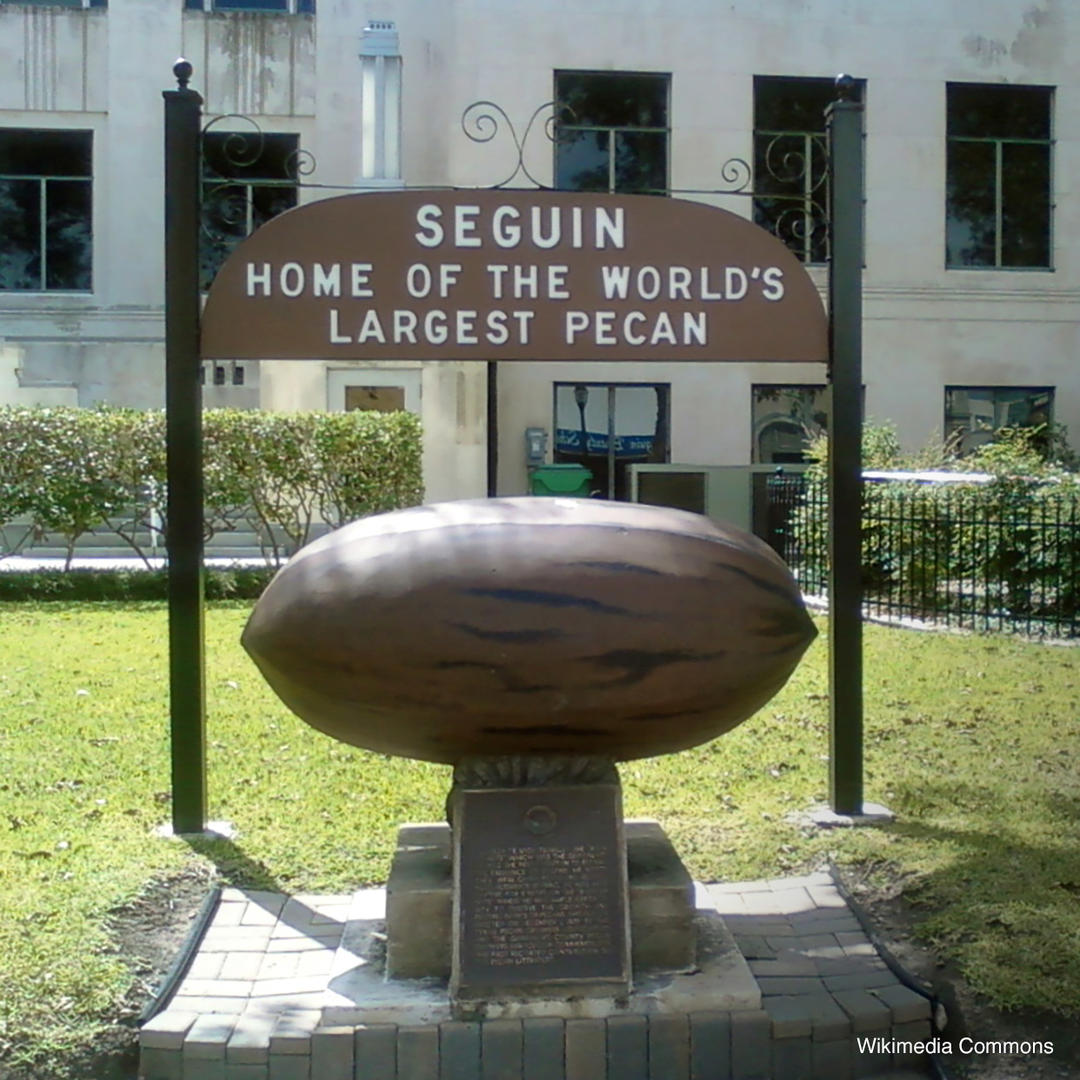 Large