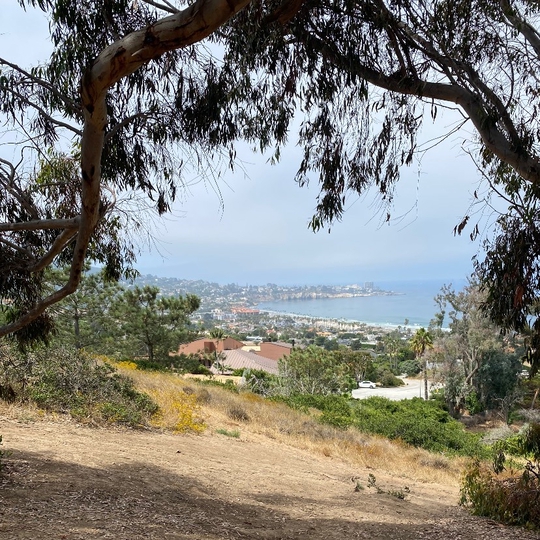 La Jolla Secret Swings in La Jolla, CA (22 Photos)